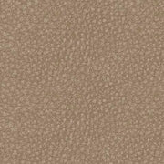 61004/58/62 : 61004S1