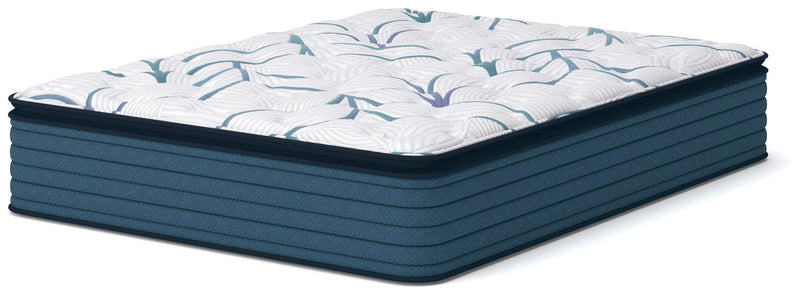 Limited Edition Plush PT 3.0 Queen Mattress