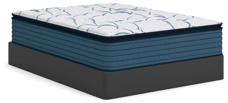 Limited Edition Plush PT 3.0 Queen Mattress