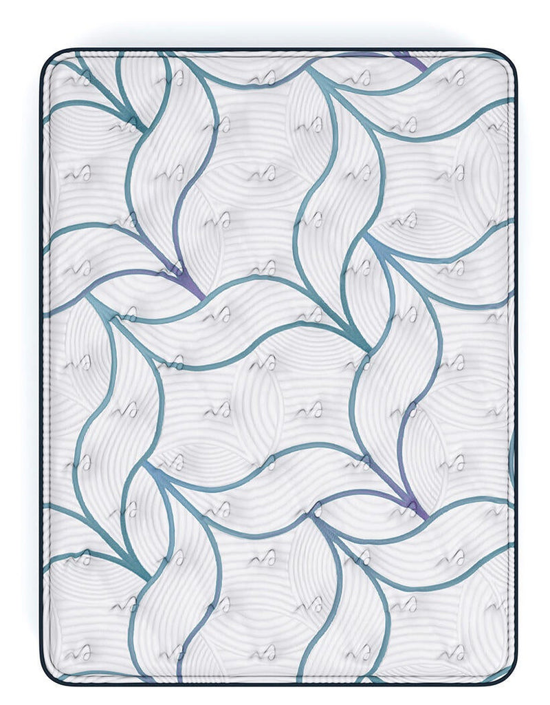 Limited Edition Plush PT 3.0 Queen Mattress
