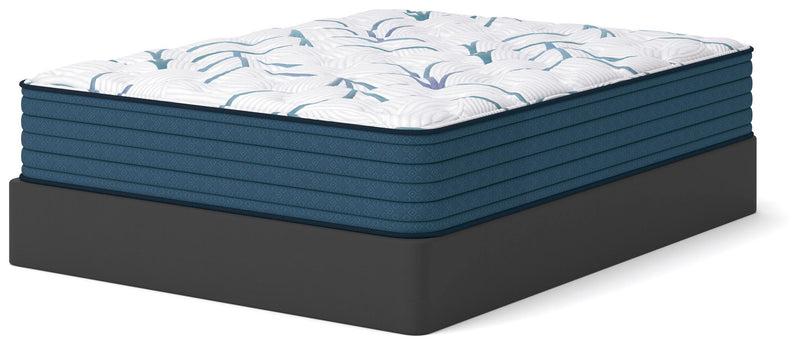 Limited Edition Plush 3.0 Queen Mattress