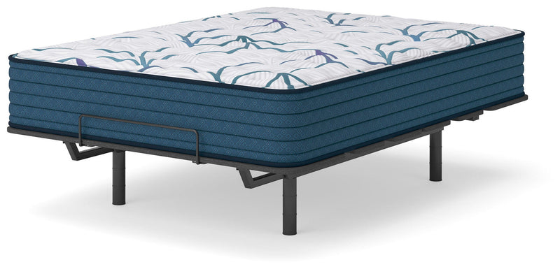 Limited Edition Firm 3.0 Queen Mattress
