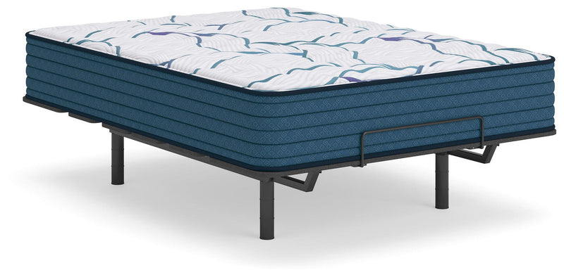 Limited Edition Firm 3.0 Queen Mattress