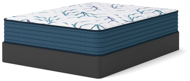 Limited Edition Firm 3.0 Queen Mattress